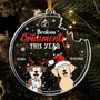 Broken Ornaments This Year With Naughty Pet Personalized Acrylic Ornament1