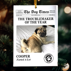The Meow Times_ The Dog Times Troublemaker Of The Year Personalized Acrylic Photo Ornament_5